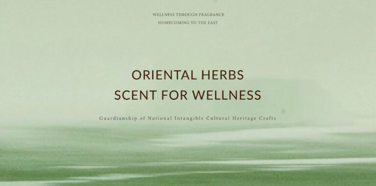 Complete Guide to Traditional Chinese Medicine Bracelets: Choose the Right Health Bracelet by Function (Latest 2026)